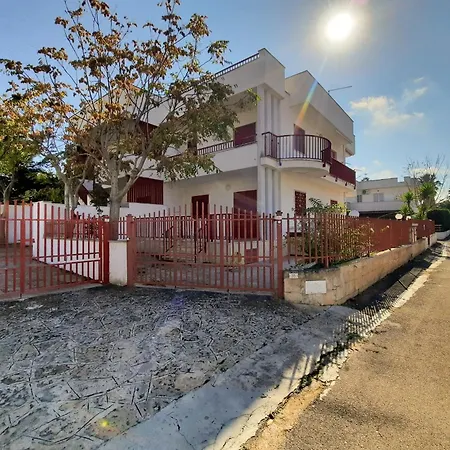 Orchidea B2 - Myho Casa